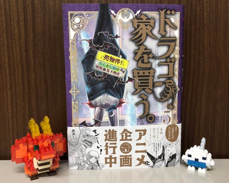 Dragon, Ie wo Kau: in arrivo l'anime tratto dall'omonimo manga Dragon, Ie wo Kau: in arrivo l'anime tratto dall'omonimo manga