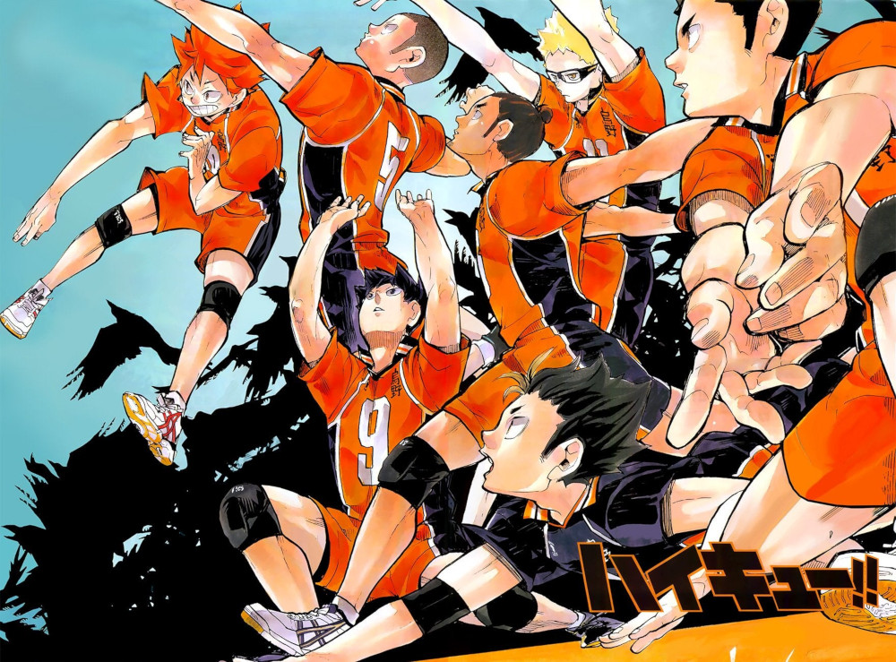 haikyuu!! haikyuu!!