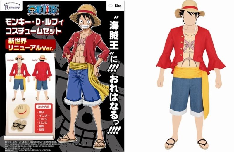 One Piece cosplay.jpg