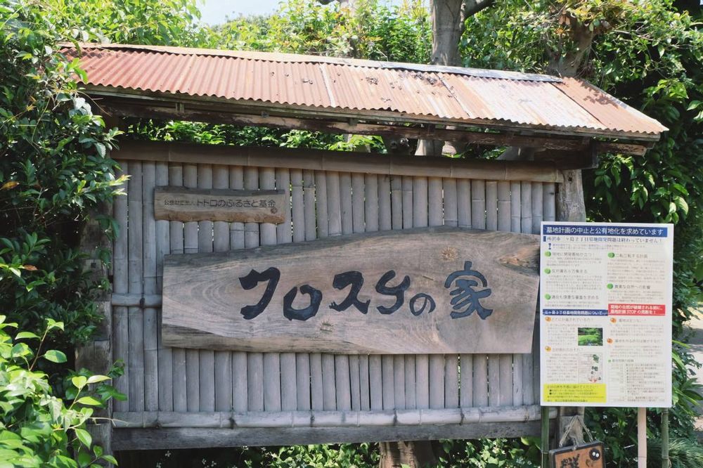 Cadavere trovato nella Foresta di Totoro