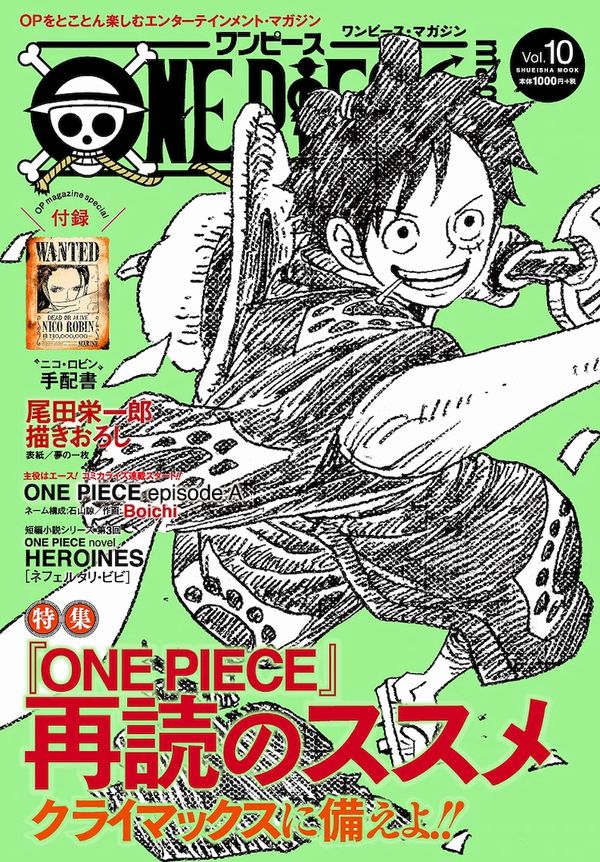 One Piece Magazine volume 10
