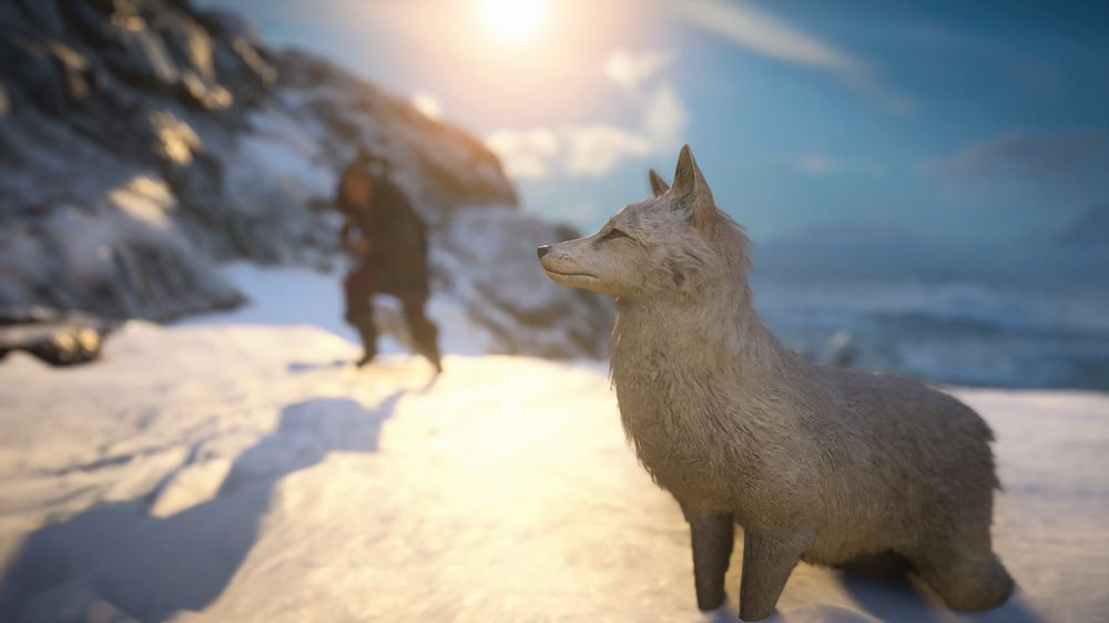 Assassin creed si aggiorna Assassin creed si aggiorna