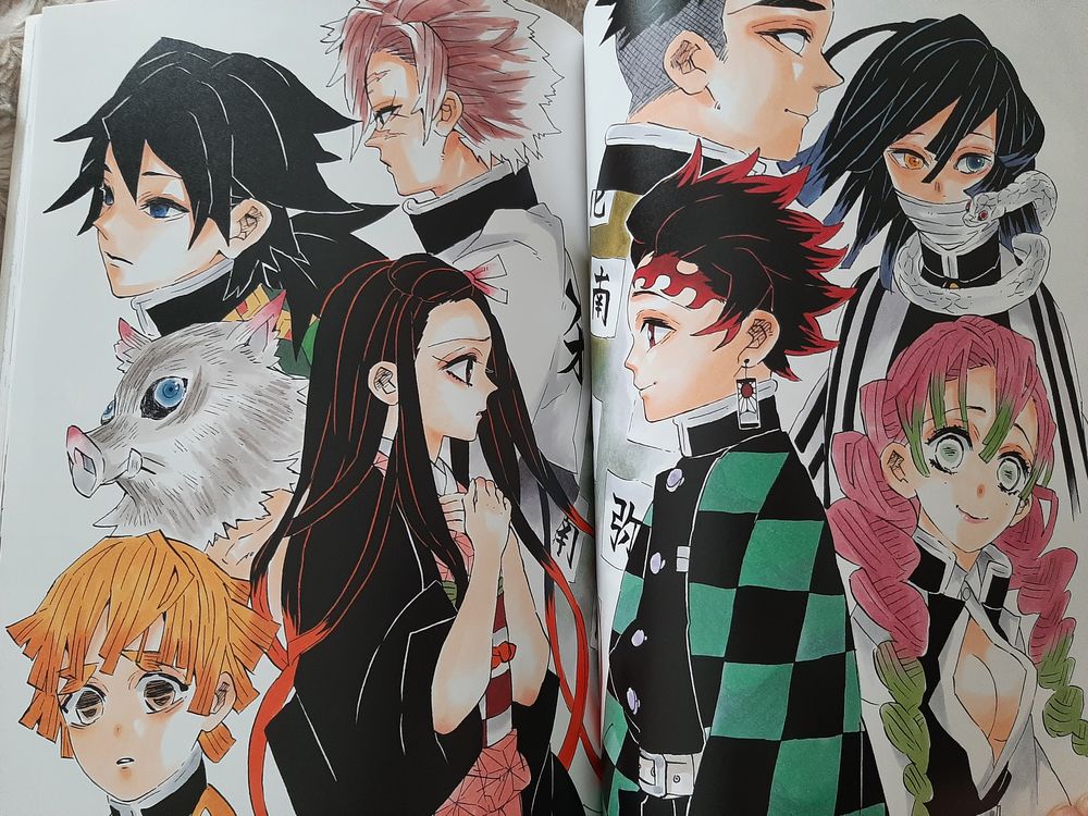 Demon Slayer artbook Demon Slayer artbook