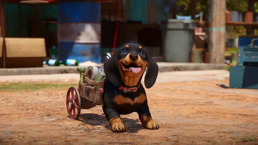 Miglior compagno animale di sempre Miglior compagno animale di sempre