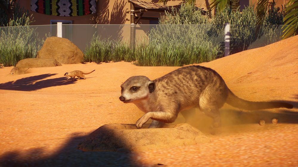 Uno sguardo al nuovo Africa Pack di Planet Zoo Uno sguardo al nuovo Africa Pack di Planet Zoo