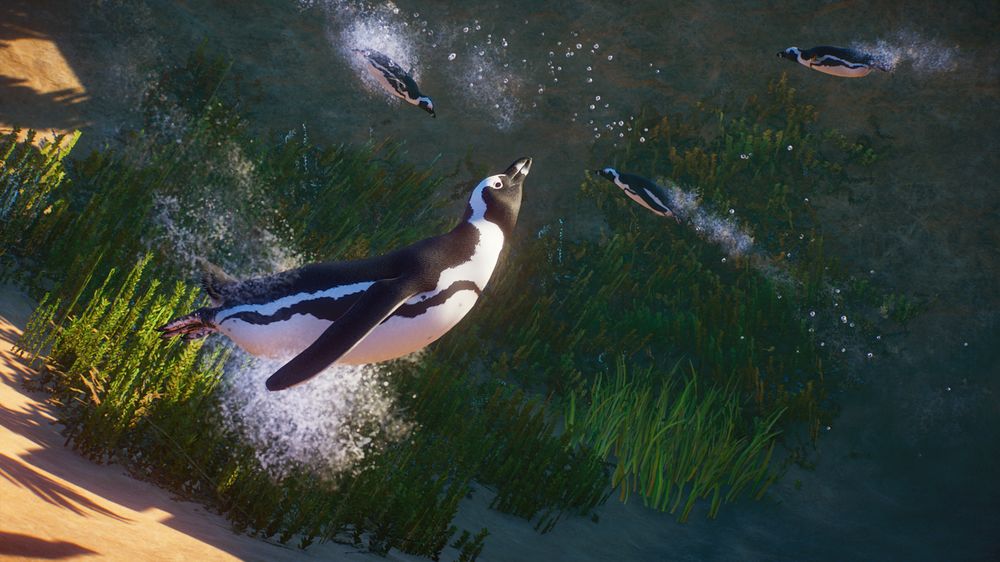 Uno sguardo al nuovo Africa Uno sguardo al nuovo Africa Pack di Planet Zoodi Planet Zoo.jpg Uno sguardo al nuovo Africa Uno sguardo al nuovo Africa Pack di Planet Zoodi Planet Zoo.jpg