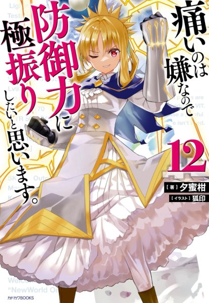 Bofuri 12