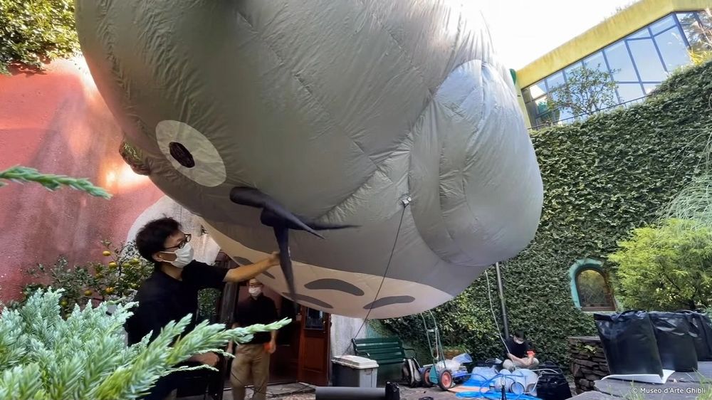 Totoro Totoro