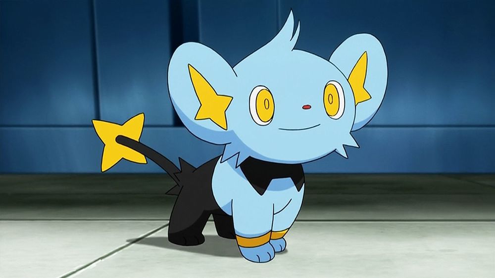 pokemon shinx pokemon shinx