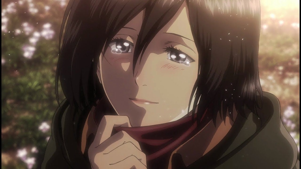 Mikasa Mikasa