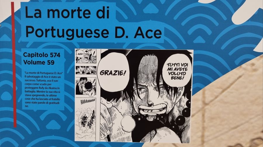 One Piece Timeline Exhibition One Piece Timeline Exhibition