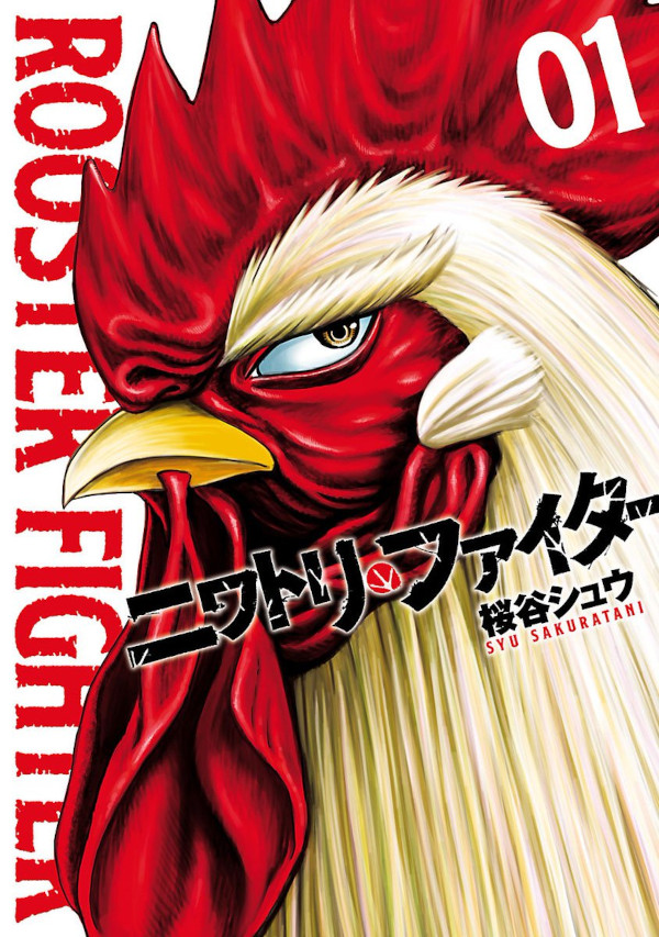 Rooster Fighter