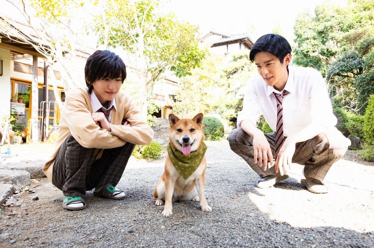 Kieta_Hatsukoi-Mametaro Kieta_Hatsukoi-Mametaro