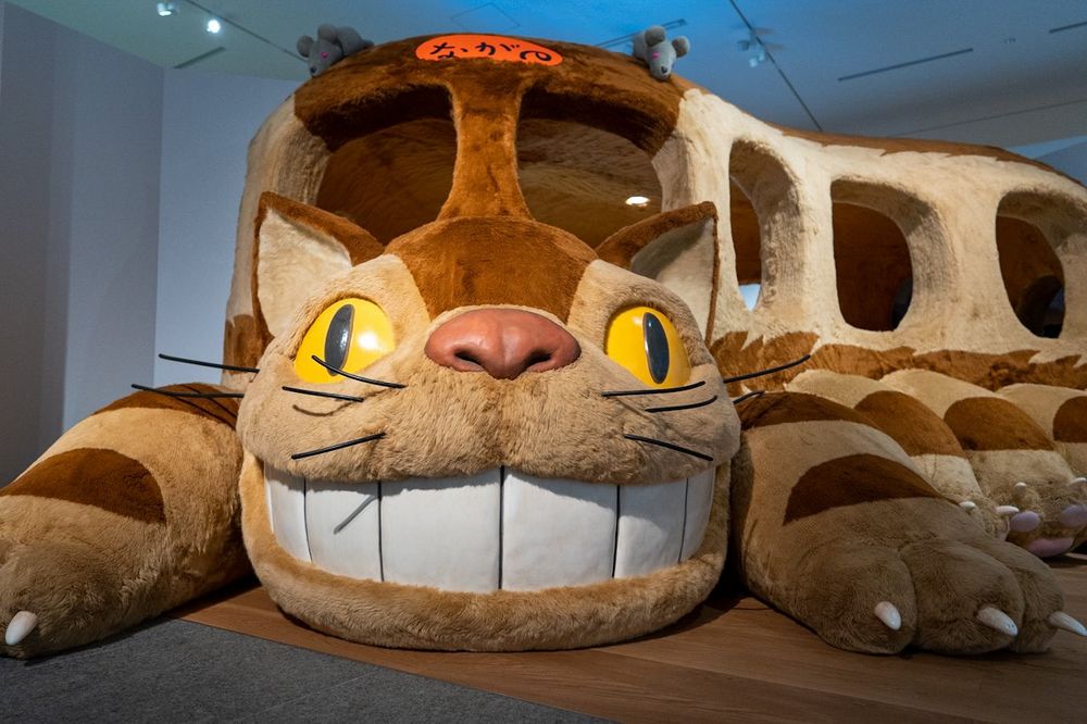 Gattobus Gattobus
