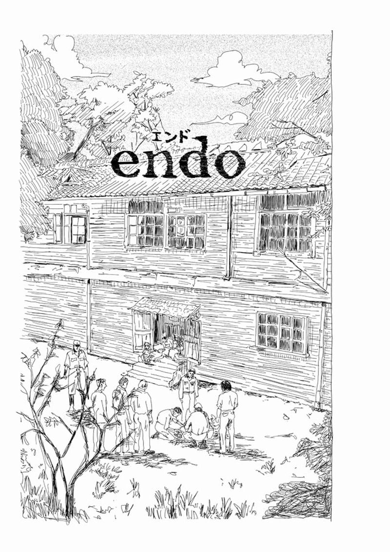 endo_01.jpg endo_01.jpg