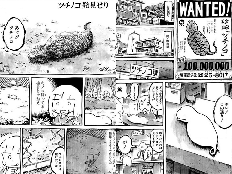The tumbling onigiri in the town