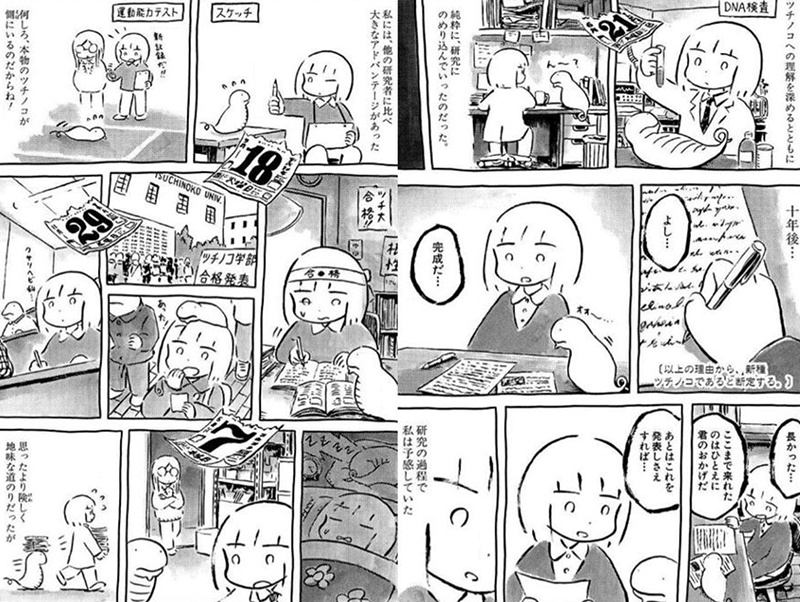 The tumbling onigiri in the town