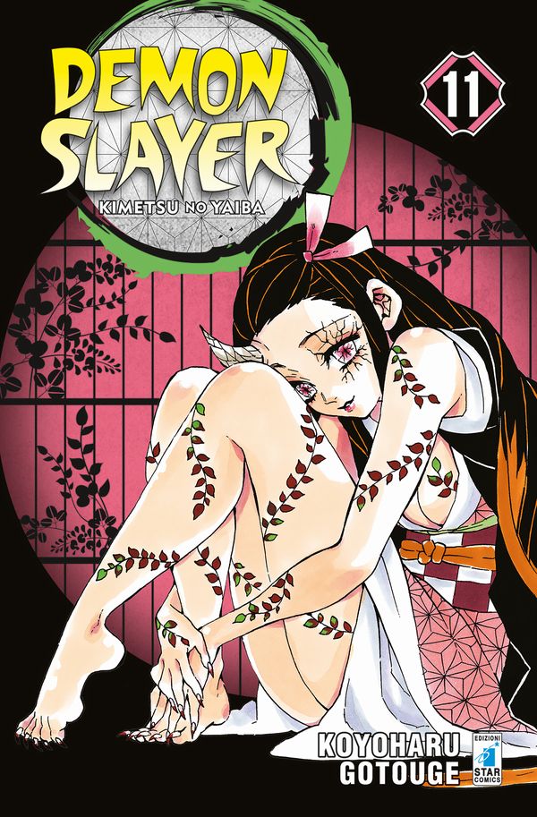 Demon Slayer Vol.11