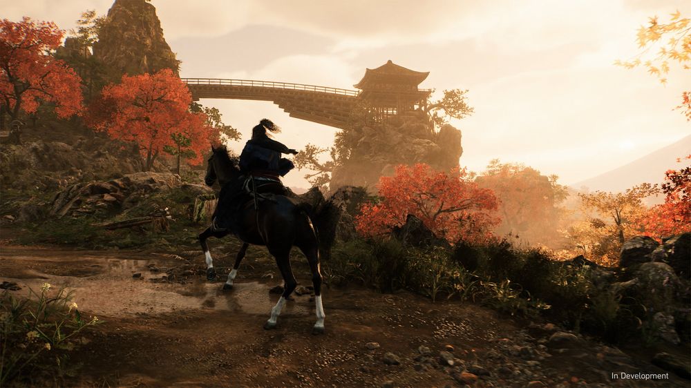 Rise_of_the_ronin.jpg Rise_of_the_ronin.jpg