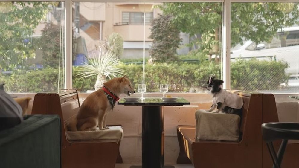 Tokyo_Inu_Love_Story-Silent Tokyo_Inu_Love_Story-Silent