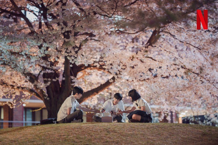 Il_tempo_per_noi-sakura