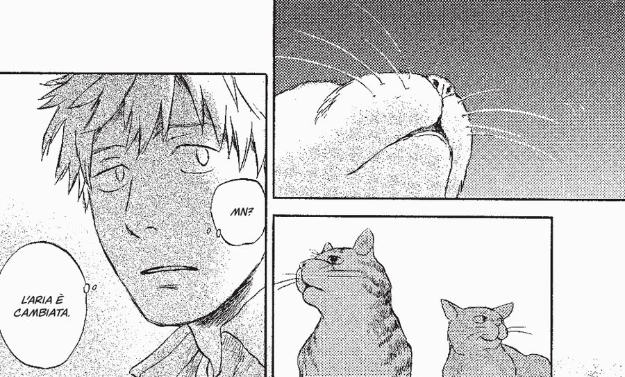 05_flow_gatti 05_flow_gatti