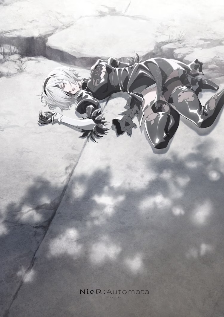NieR:Automata Ver 1.1a NieR:Automata Ver 1.1a