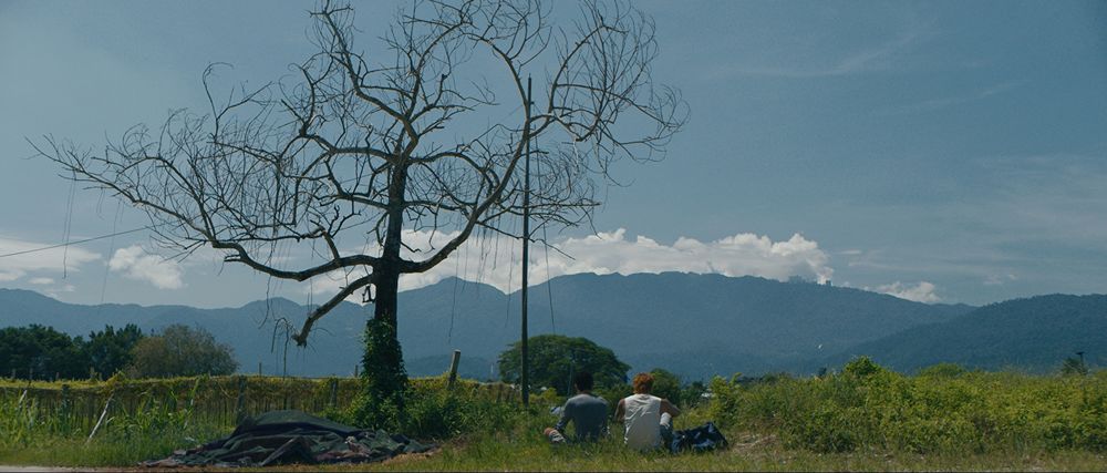 Abang_Adik-albero Abang_Adik-albero