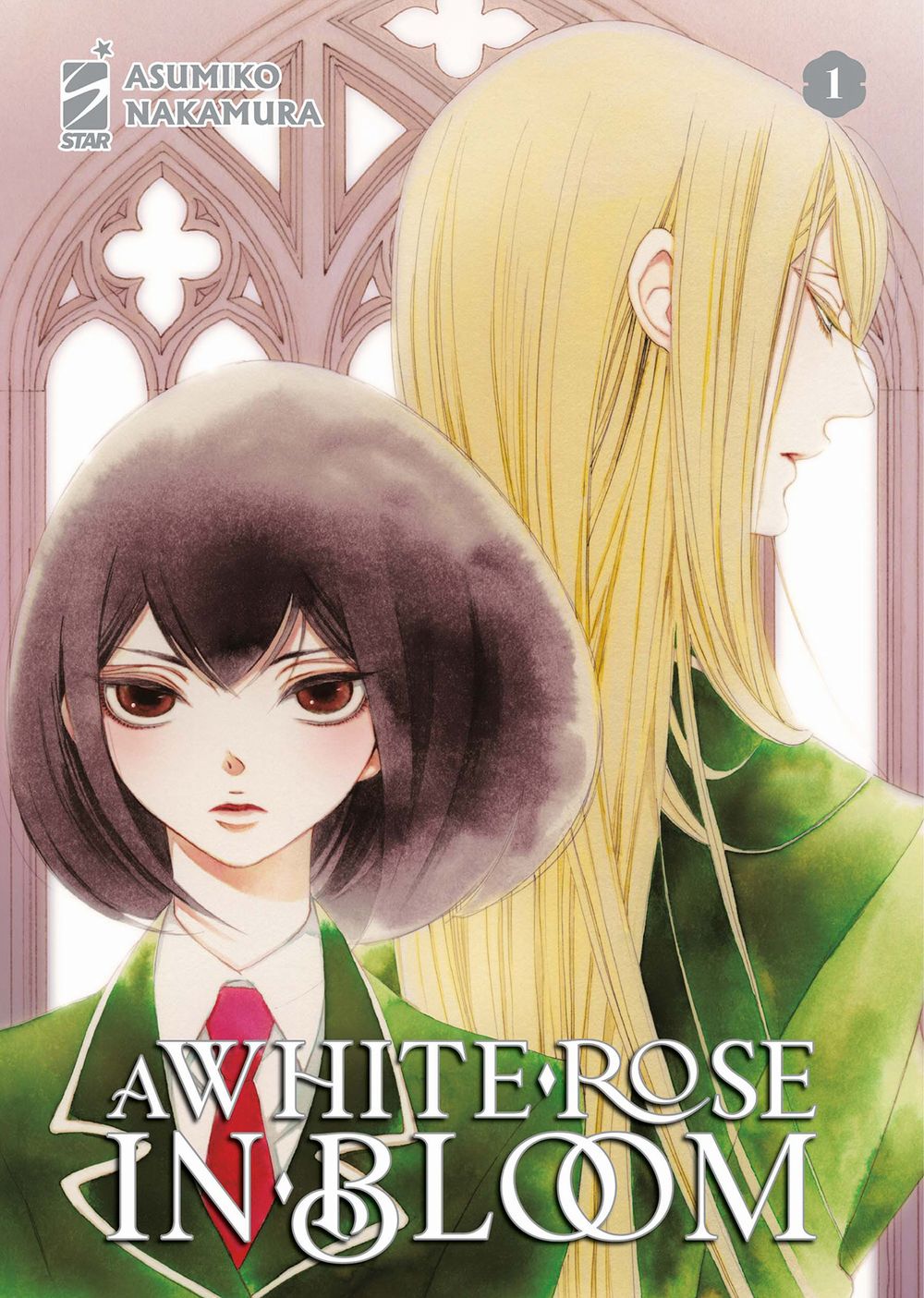awhiteroseinbloom.jpeg awhiteroseinbloom.jpeg