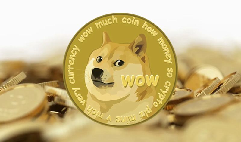 Addio a Kabosu, il cane diventata star del web e delle criptovalute Addio a Kabosu, il cane diventata star del web e delle criptovalute