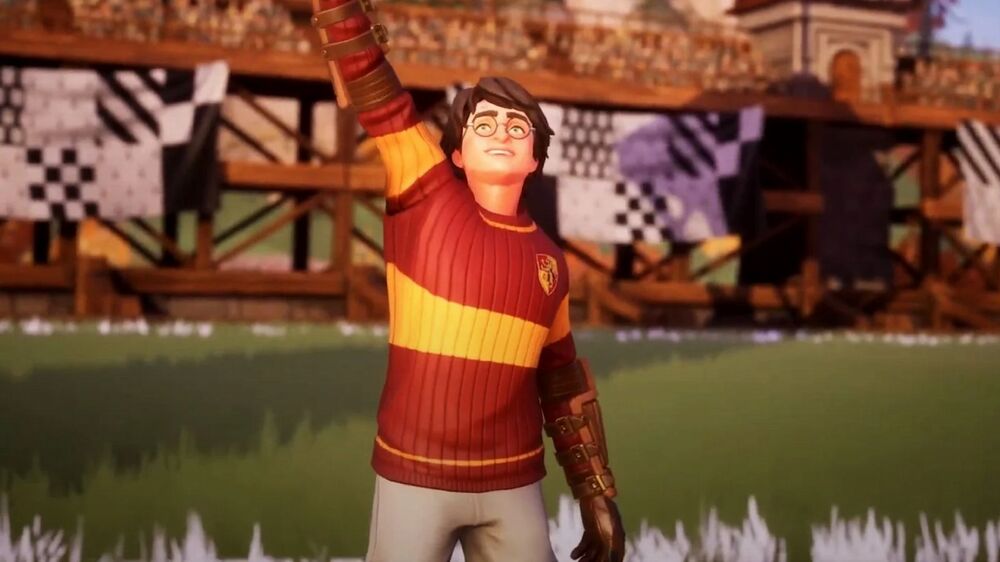 Harry Potter campione di Quidditch Harry Potter campione di Quidditch