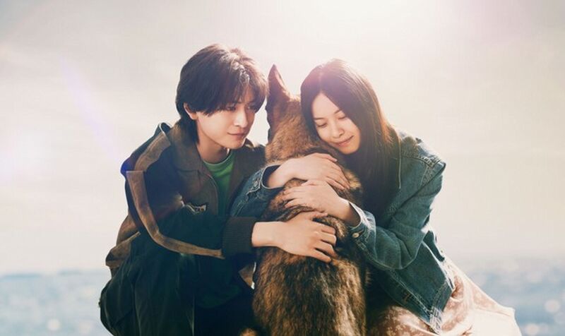 Shonen_to_Inu-visual Shonen_to_Inu-visual