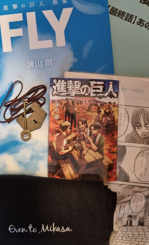 Attack On Titan: FLY Attack On Titan: FLY