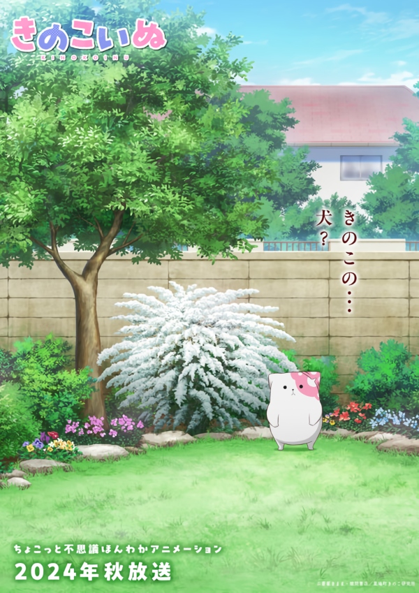Kinokoinu Kinokoinu
