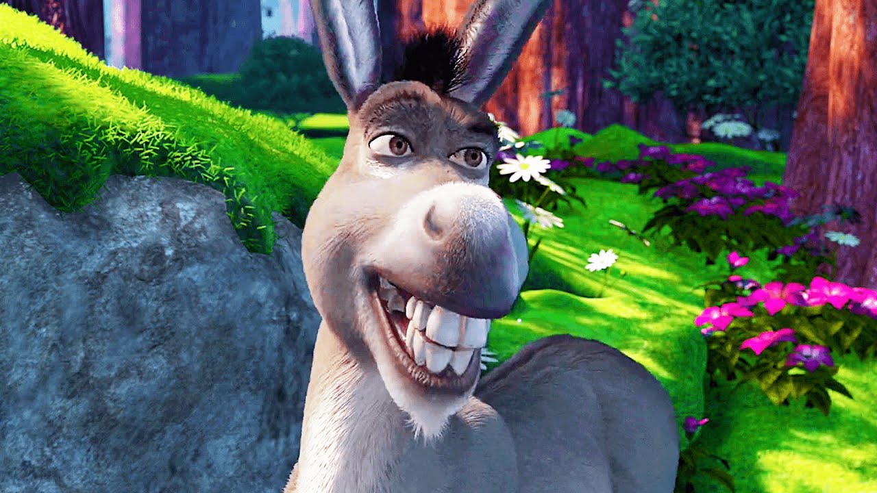Shrek Shrek