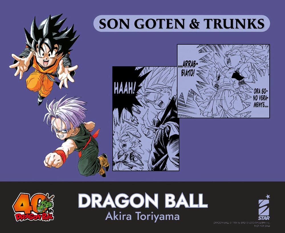 Dragon Ball - Gohan & Trunks Dragon Ball - Gohan & Trunks