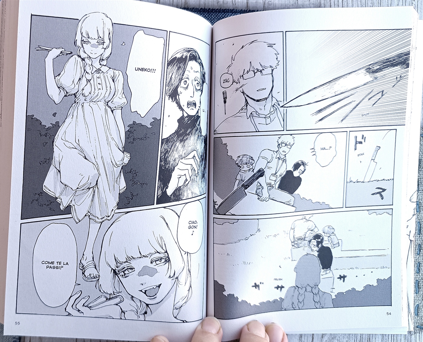 Sahashi e le creature fantastiche