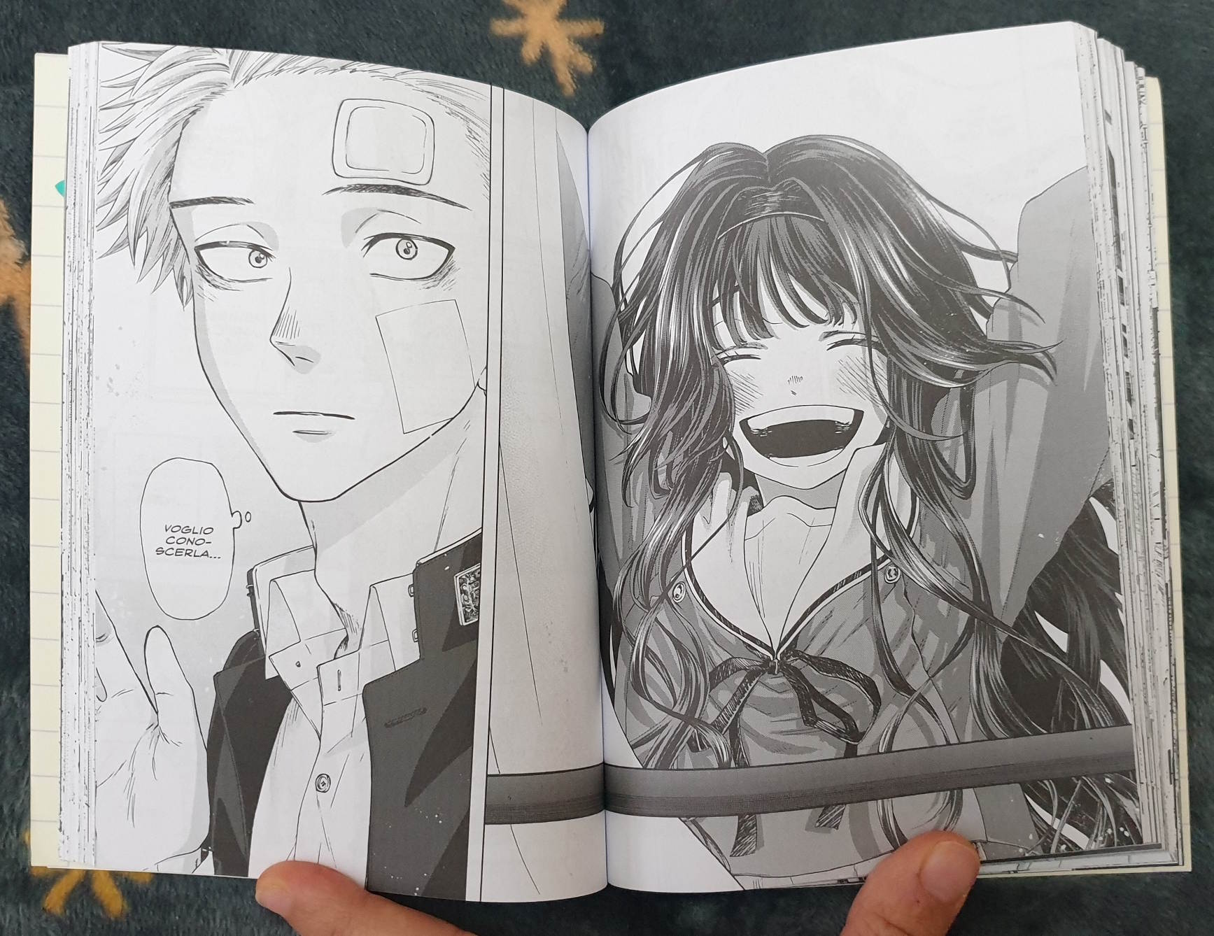 Kaoruko affacciata alla finestra della sua scuola Kaoruko affacciata alla finestra della sua scuola