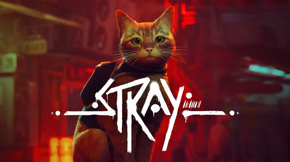 Stray sul Plus