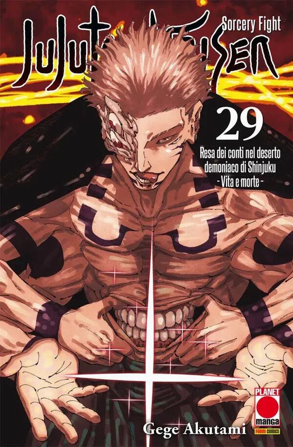 Jujutsu Kaisen Vol.29