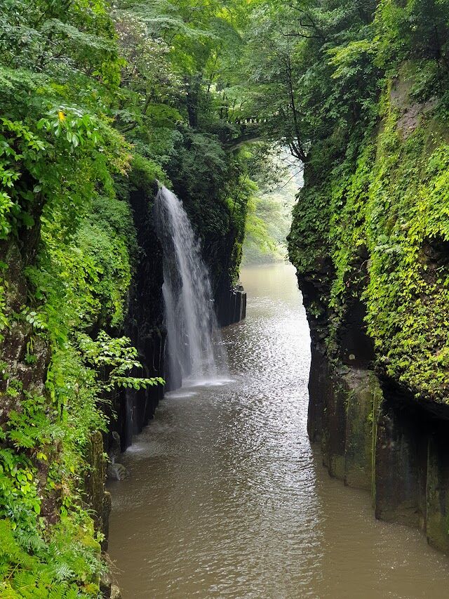 Tour AnimeClick: torna il viaggio in Giappone con Viaggigiovani.it