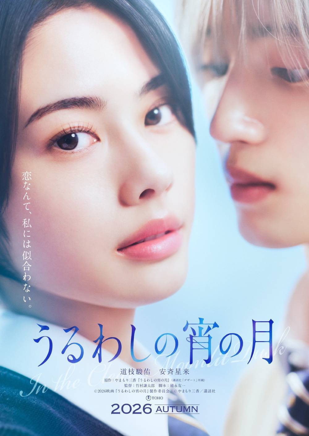 In the Clear Moonlit Dusk