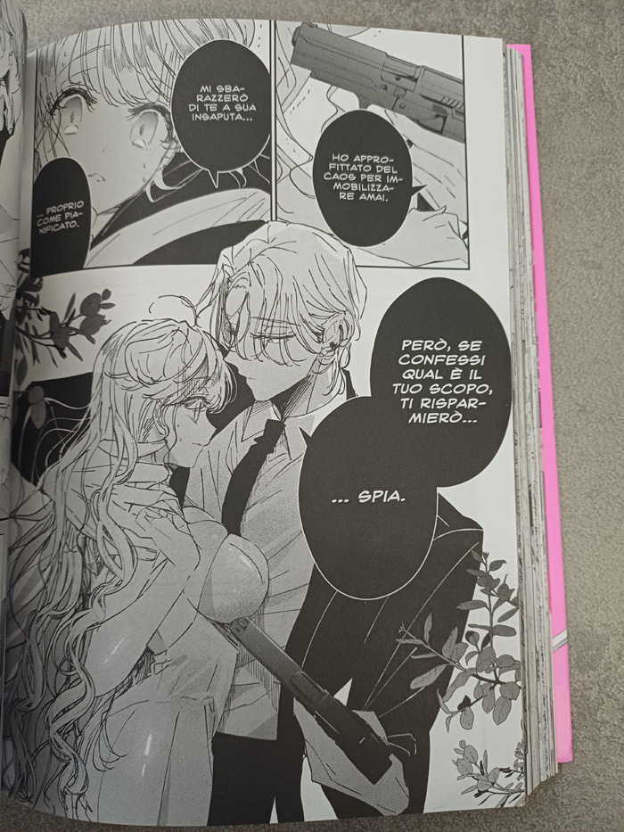 Assassin & Cinderella