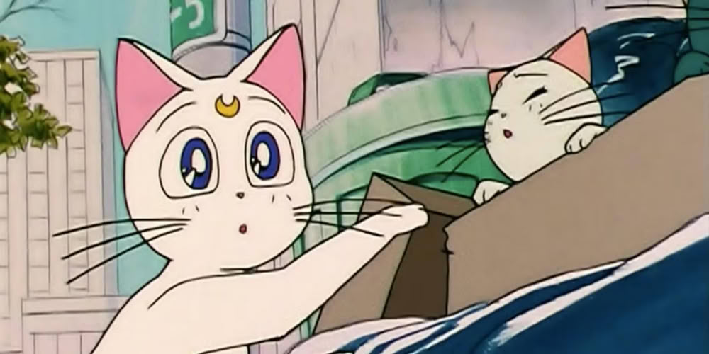 Artemis-Kittens-Sailor-Moon.jpg