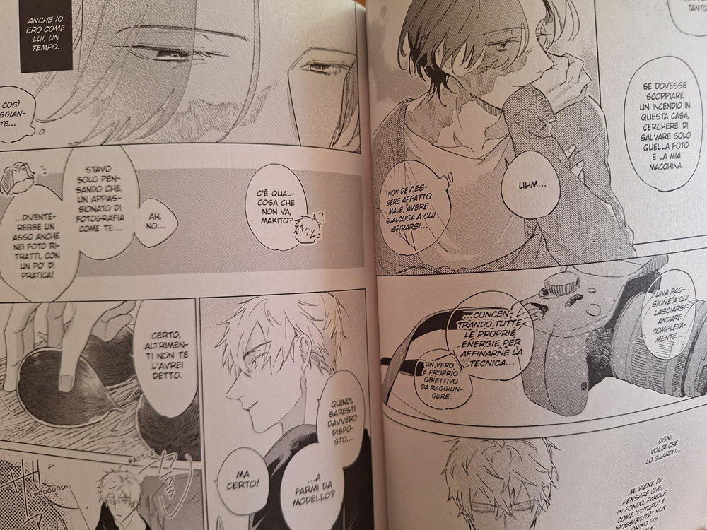 Stella cadente - Nagareboshi