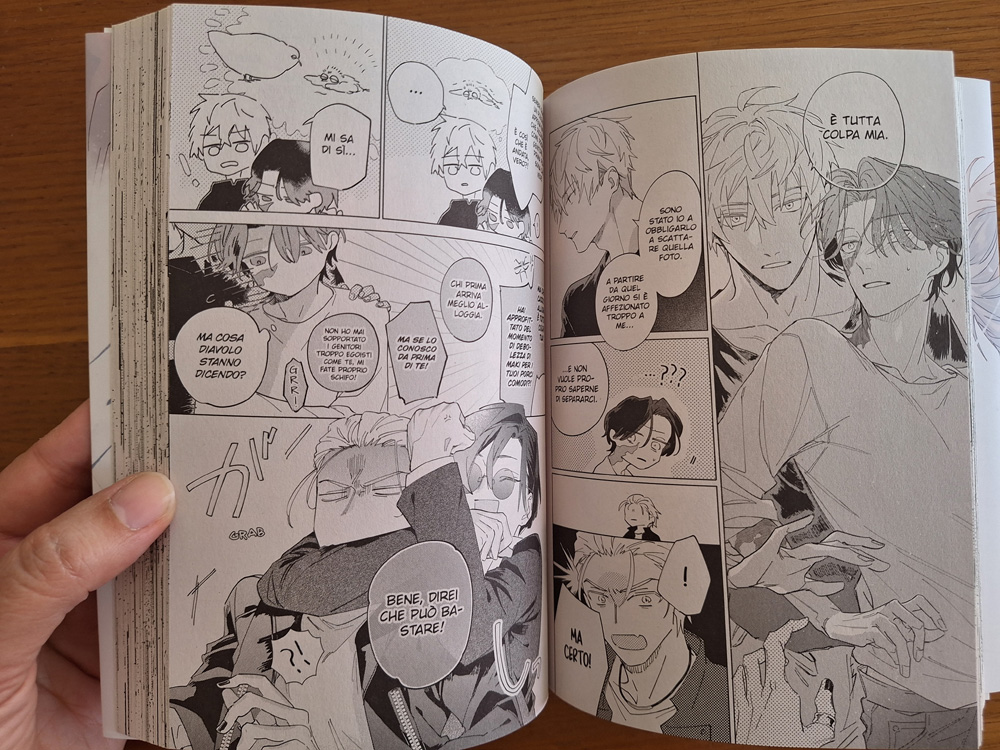 Stella cadente - Nagareboshi