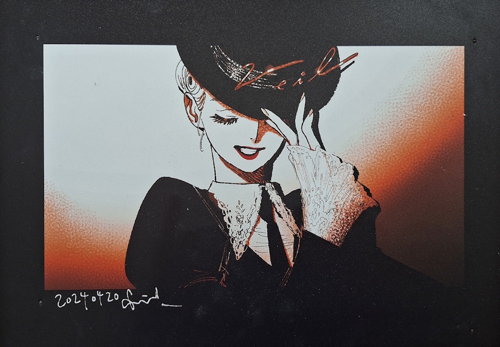Mostra di Veil di Kotteri!