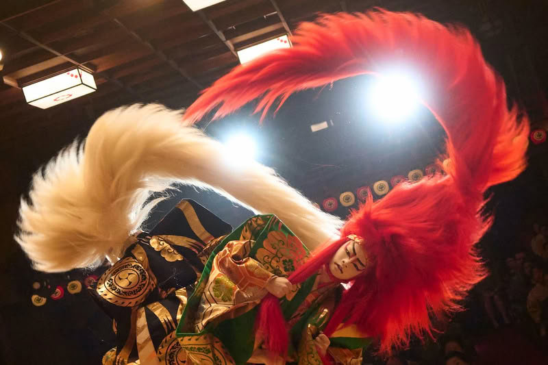 Kokuhou-leone
