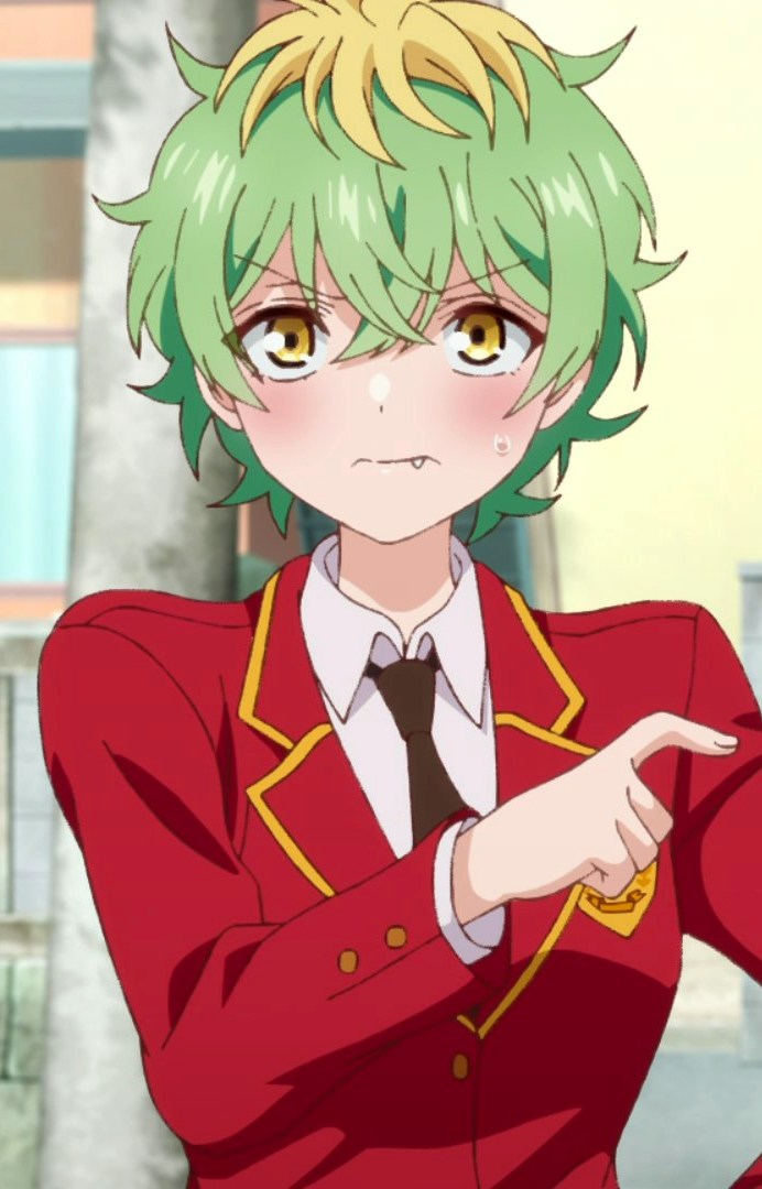 Miwa Mikadono