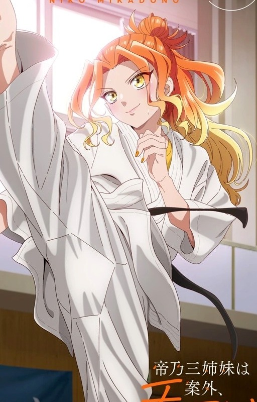 Niko Mikadono